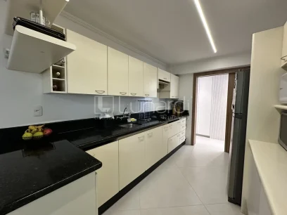 Apartamento com 3 Dormitórios - Miniatura - Lunardi Imóveis