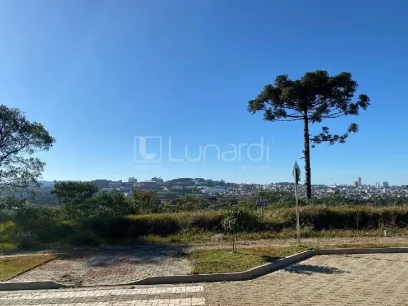 Terreno - Miniatura - Lunardi Imóveis
