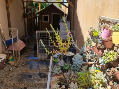 Casa com 3 Dormitórios - Miniatura - Lunardi Imóveis