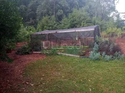 Casa com 4 Dormitórios - Miniatura - Lunardi Imóveis