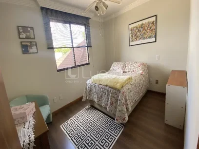 Apartamento com 3 Dormitórios - Miniatura - Lunardi Imóveis