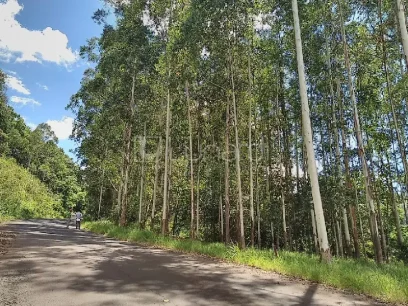 Área - Miniatura - Lunardi Imóveis