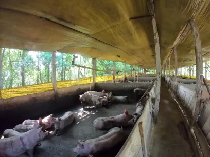 Área - Miniatura - Lunardi Imóveis