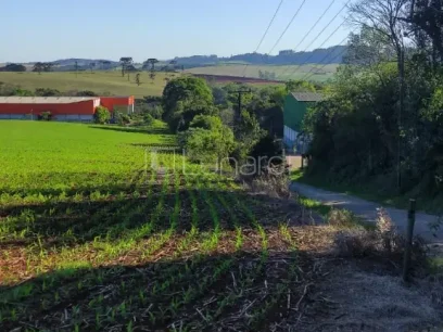 Loteamento Industrial - Miniatura - Lunardi Imóveis