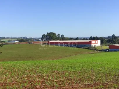 Loteamento Industrial - Miniatura - Lunardi Imóveis