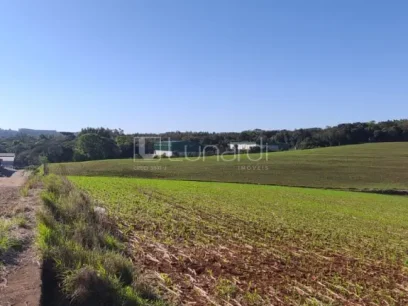 Loteamento Industrial - Lunardi Imóveis