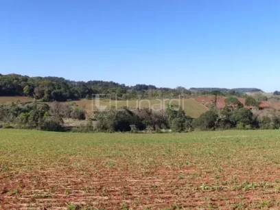 Loteamento Industrial - Miniatura - Lunardi Imóveis