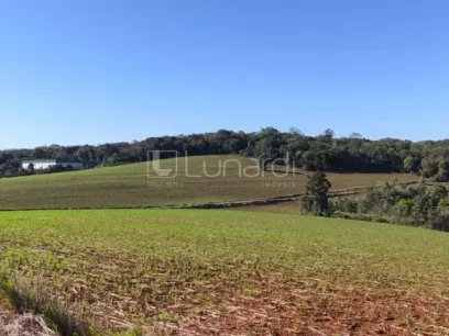 Loteamento Industrial - Miniatura - Lunardi Imóveis