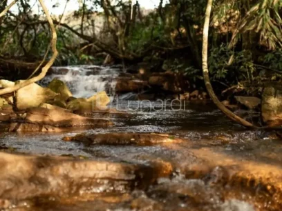Terreno - Miniatura - Lunardi Imóveis