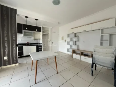 Apartamento com 2 Dormitórios - Miniatura - Lunardi Imóveis