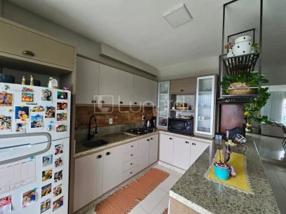 Apartamento com 3 Dormitórios - Miniatura - Lunardi Imóveis