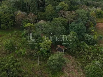Área - Miniatura - Lunardi Imóveis