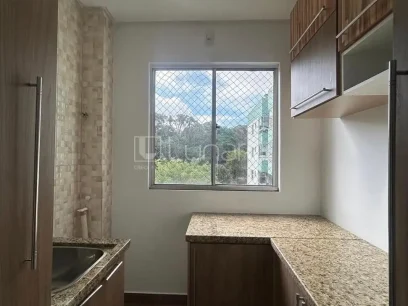 Apartamento com 3 Dormitórios - Miniatura - Lunardi Imóveis