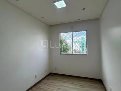 Apartamento com 3 Dormitórios - Miniatura - Lunardi Imóveis