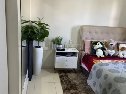Apartamento com 3 Dormitórios - Miniatura - Lunardi Imóveis