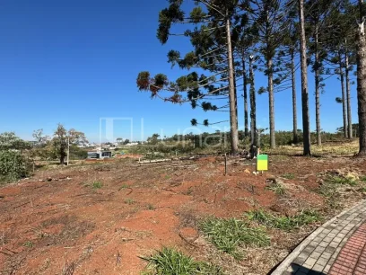 Terreno - Miniatura - Lunardi Imóveis