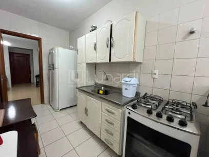 Apartamento com 2 Dormitórios - Miniatura - Lunardi Imóveis