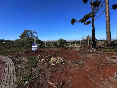 Terreno - Miniatura - Lunardi Imóveis