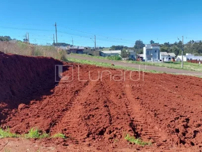 Terreno - Miniatura - Lunardi Imóveis