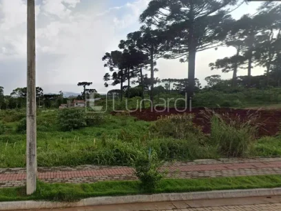 Terreno - Miniatura - Lunardi Imóveis
