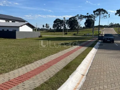 Terreno - Miniatura - Lunardi Imóveis