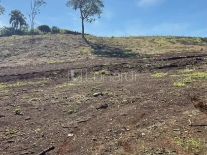 Terreno Comercial - Miniatura - Lunardi Imóveis