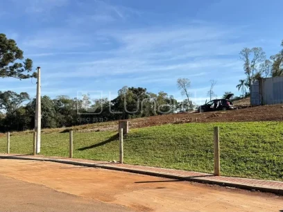 Terreno Comercial - Miniatura - Lunardi Imóveis