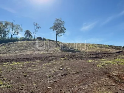 Terreno Comercial - Miniatura - Lunardi Imóveis