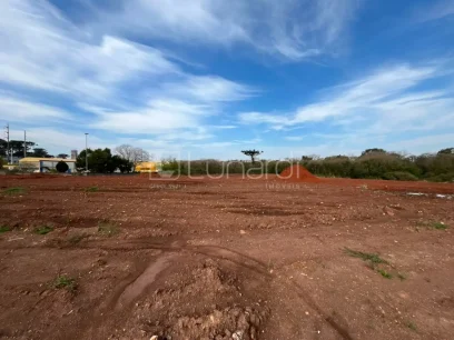Terreno Comercial - Miniatura - Lunardi Imóveis