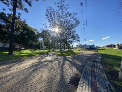 Terreno - Miniatura - Lunardi Imóveis