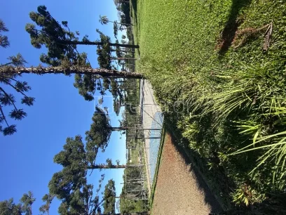 Terreno - Miniatura - Lunardi Imóveis