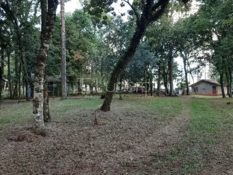 Área - Lunardi Imóveis