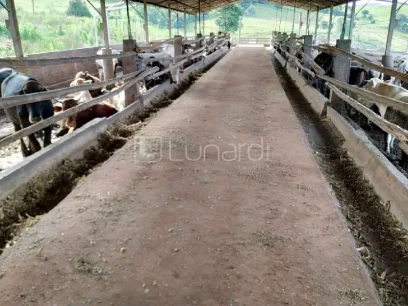 Área - Miniatura - Lunardi Imóveis