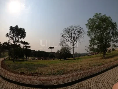 Terreno - Miniatura - Lunardi Imóveis