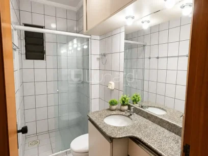 Apartamento com 3 Dormitórios - Miniatura - Lunardi Imóveis