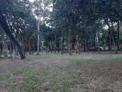 Área - Miniatura - Lunardi Imóveis