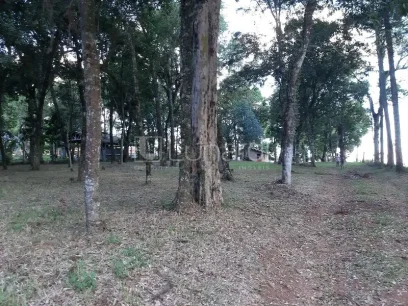 Área - Miniatura - Lunardi Imóveis