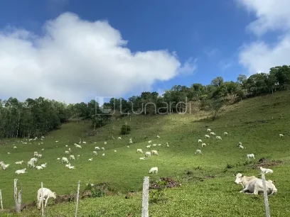 Área - Miniatura - Lunardi Imóveis