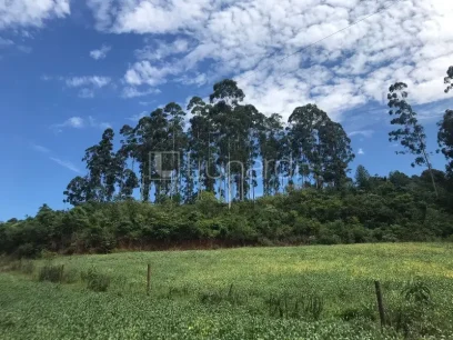 Área - Lunardi Imóveis