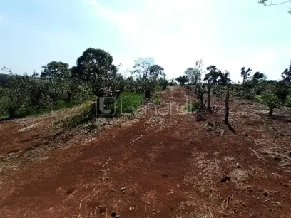Área - Miniatura - Lunardi Imóveis
